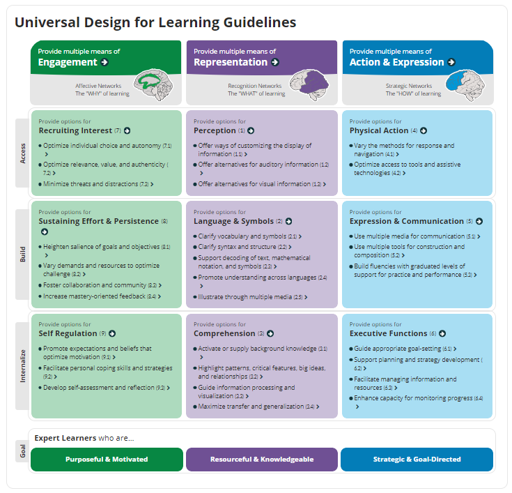 CAST UDL Guidelines Infographic; The UDL guidelines document with three vertical columns for the principles and five horizontal columns for the associated brain network, the access row, the build row, the internalize row, and the goal row for expert learners.